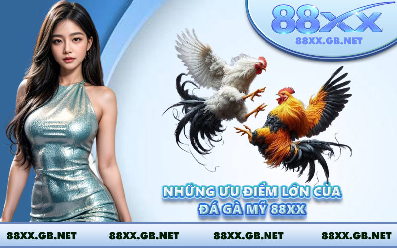 Những ưu điểm lớn của đá gà Mỹ 88XX